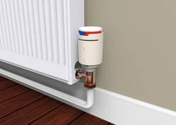 DORM1 wall scene DORM1 wall scene